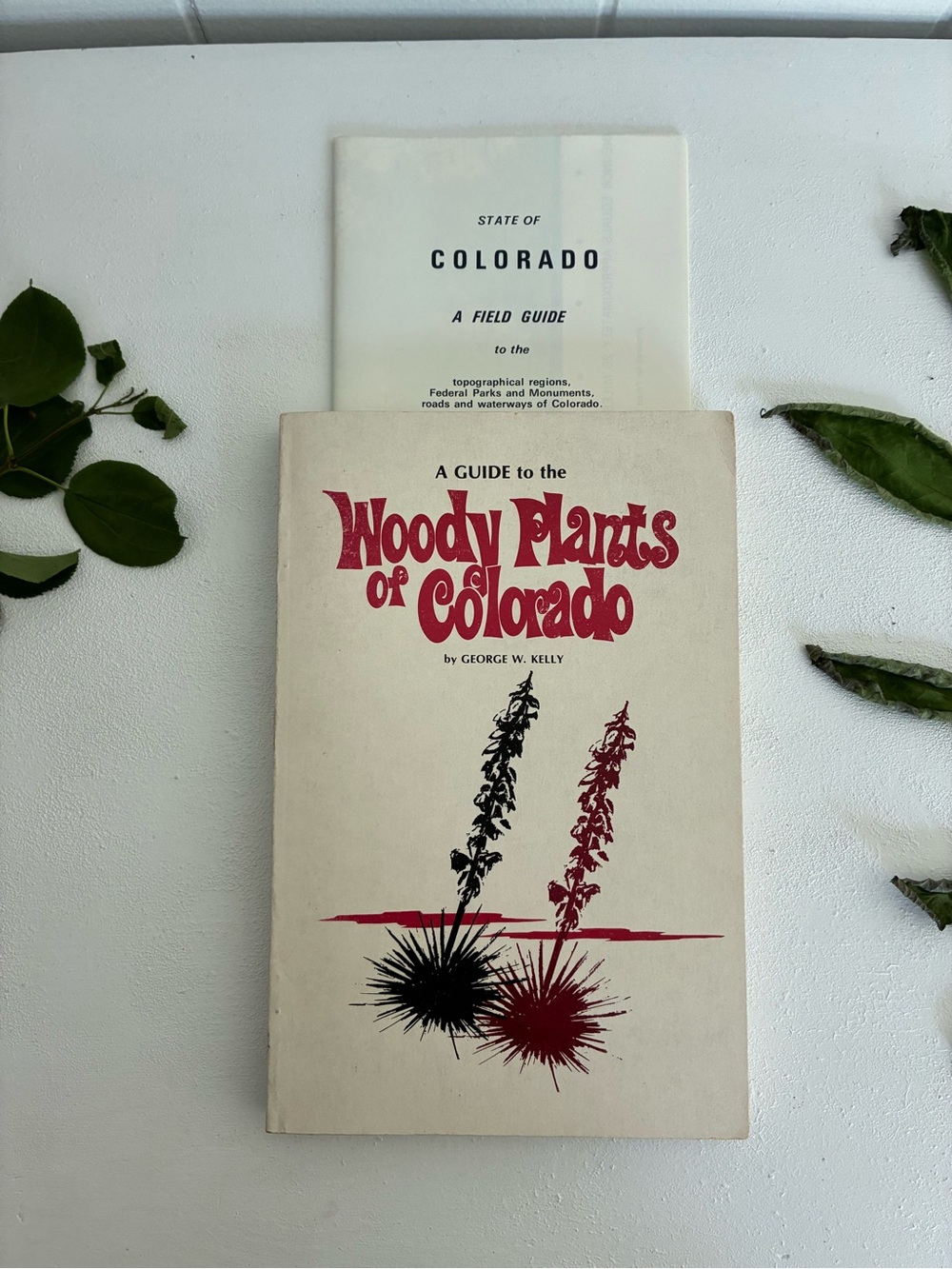 A Guide to the Woody Plants of Colorado Vintage Field Guide - George W. Kelly